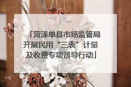 菏泽单县市场监管局开展民用“三表”计量及收费专项督导行动