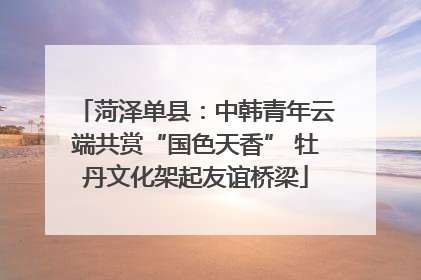 菏泽单县：中韩青年云端共赏“国色天香” 牡丹文化架起友谊桥梁