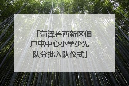 菏泽鲁西新区佃户屯中心小学少先队分批入队仪式
