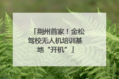 荆州首家！金松驾校无人机培训基地“开机”