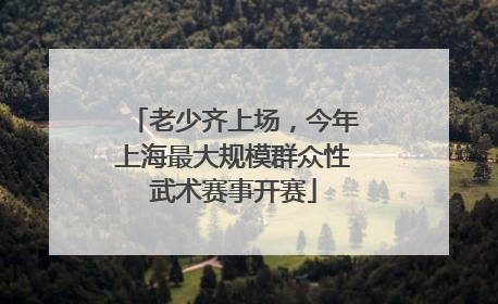 老少齐上场，今年上海最大规模群众性武术赛事开赛
