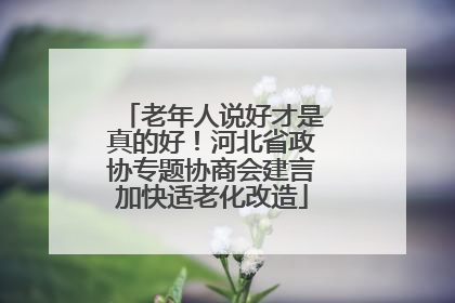 老年人说好才是真的好！河北省政协专题协商会建言加快适老化改造