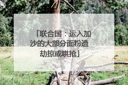 联合国：运入加沙的大部分面粉遭劫掠或哄抢