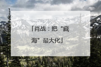 肖战：把“藏海”最大化