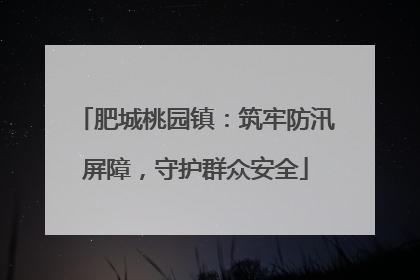 肥城桃园镇：筑牢防汛屏障，守护群众安全