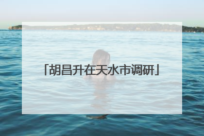 胡昌升在天水市调研