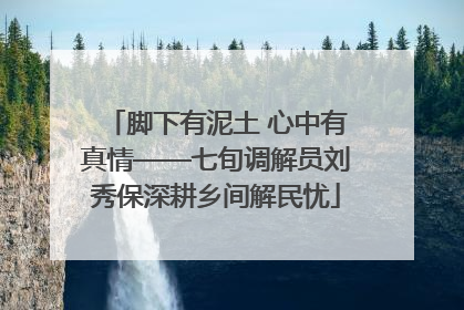 脚下有泥土 心中有真情——七旬调解员刘秀保深耕乡间解民忧