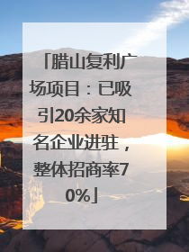 腊山复利广场项目：已吸引20余家知名企业进驻，整体招商率70%