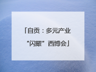 自贡：多元产业“闪耀”西博会