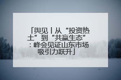 舆见丨从“投资热土”到“共赢生态”：峰会见证山东市场吸引力跃升