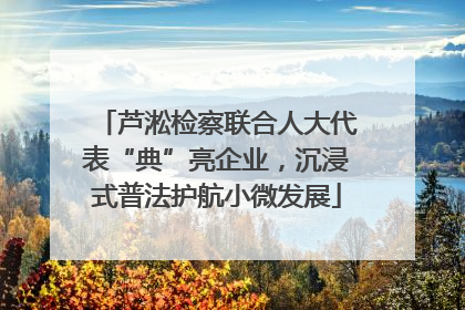 芦淞检察联合人大代表“典”亮企业，沉浸式普法护航小微发展