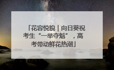 花容悦貌｜向日葵祝考生“一举夺魁”，高考带动鲜花热潮