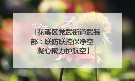 花溪区党武街道武装部：联防联控保净空 凝心聚力护航空