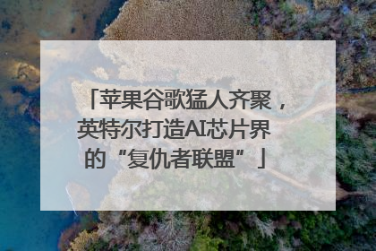苹果谷歌猛人齐聚，英特尔打造AI芯片界的“复仇者联盟”