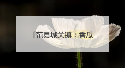 范县城关镇：香瓜丰收季，奏响乡村振兴 “甜蜜乐章”