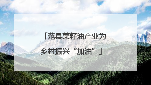 范县菜籽油产业为乡村振兴“加油”