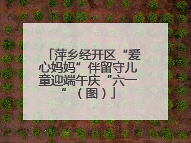 萍乡经开区“爱心妈妈”伴留守儿童迎端午庆“六一”（图）