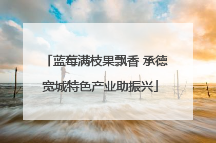 蓝莓满枝果飘香 承德宽城特色产业助振兴