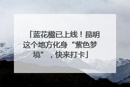 蓝花楹已上线！昆明这个地方化身“紫色梦境”，快来打卡