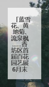 蓝雪花、黄地菊、流泉枫……香坊区首届百花园艺展6月末开展