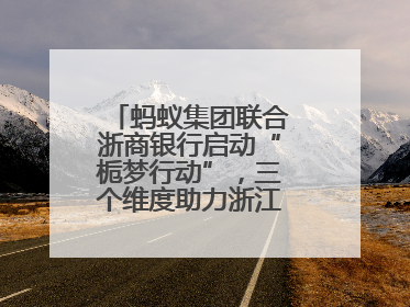 蚂蚁集团联合浙商银行启动“栀梦行动”，三个维度助力浙江下姜村建设共富示范区示范点