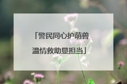 警民同心护萌兽 温情救助显担当
