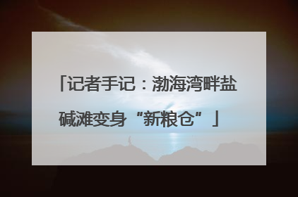 记者手记：渤海湾畔盐碱滩变身“新粮仓”