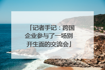 记者手记：跨国企业参与了一场别开生面的交流会