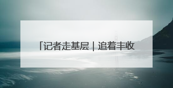 记者走基层｜追着丰收，麦客夫妻一路向北