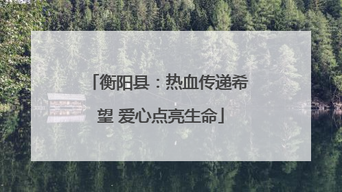 衡阳县：热血传递希望 爱心点亮生命