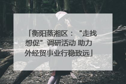 衡阳蒸湘区：“走找想促”调研活动 助力外经贸事业行稳致远