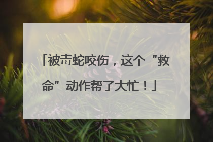 被毒蛇咬伤，这个“救命”动作帮了大忙！