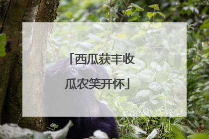 西瓜获丰收 瓜农笑开怀