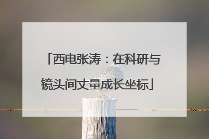 西电张涛：在科研与镜头间丈量成长坐标