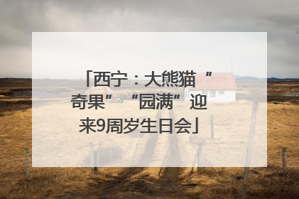 西宁：大熊猫“奇果”“园满”迎来9周岁生日会