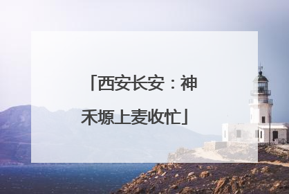 西安长安：神禾塬上麦收忙