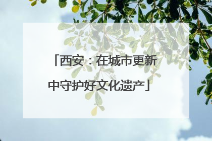 西安：在城市更新中守护好文化遗产