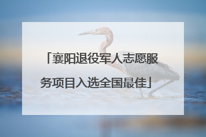 襄阳退役军人志愿服务项目入选全国最佳
