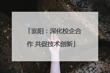 襄阳：深化校企合作 共促技术创新