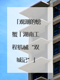 观潮的螃蟹丨湖南工程机械“双城记”