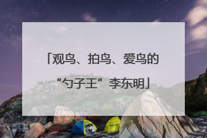 观鸟、拍鸟、爱鸟的“勺子王”李东明