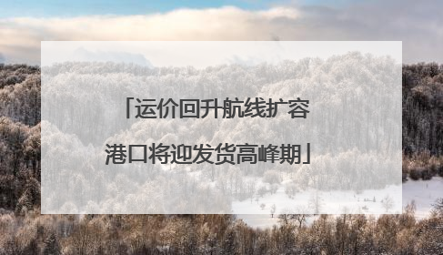 运价回升航线扩容 港口将迎发货高峰期