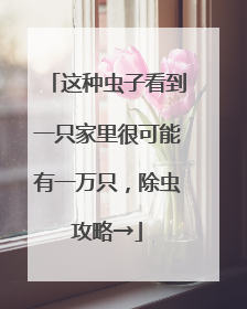 这种虫子看到一只家里很可能有一万只，除虫攻略→