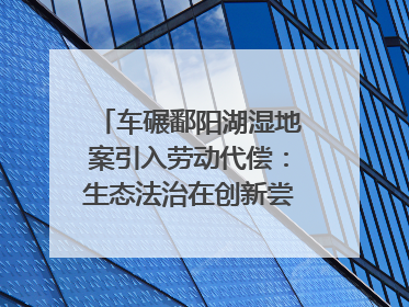 车碾鄱阳湖湿地案引入劳动代偿：生态法治在创新尝试｜有一说一