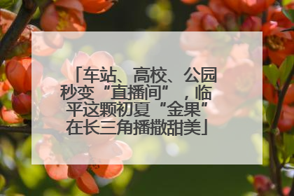 车站、高校、公园秒变“直播间”，临平这颗初夏“金果”在长三角播撒甜美