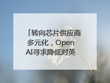 转向芯片供应商多元化，OpenAI寻求降低对英伟达依赖