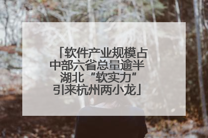软件产业规模占中部六省总量逾半 湖北“软实力”引来杭州两小龙
