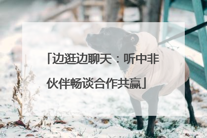 边逛边聊天：听中非伙伴畅谈合作共赢