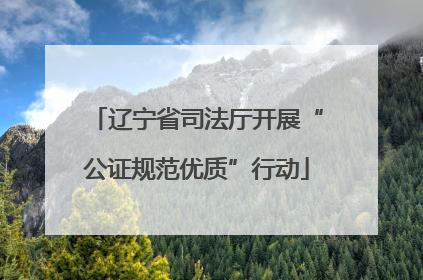 辽宁省司法厅开展“公证规范优质”行动