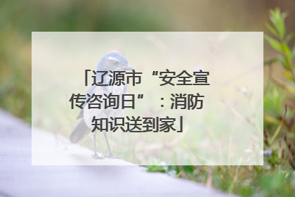 辽源市“安全宣传咨询日”：消防知识送到家